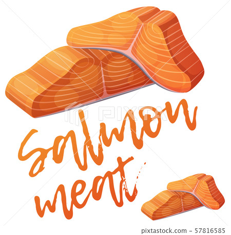 Salmon meat icon. Cartoon vector illustration isolated on white background 57816585