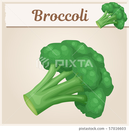 Broccoli vegetable icon. Cartoon vector illustration 57816603