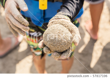 Muddy Muddy 57817106