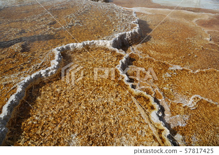 yellowstone national park the nature yellowstone national park the nature 57817425