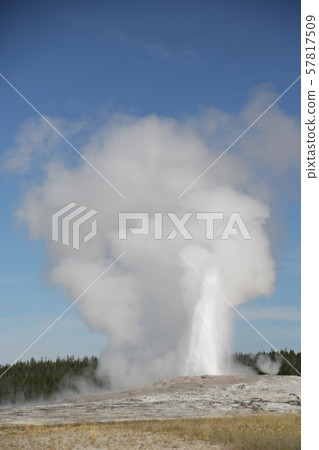 yellowstone national park the nature yellowstone national park the nature 57817509
