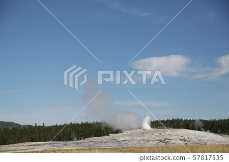 yellowstone national park the nature 57817535