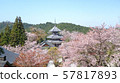 Yoshinoyama cherry blossoms 57817893