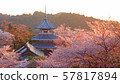 Cherry blossoms of the Yoshino Imperial Palace ruins on Mount Yoshino at dusk 57817894