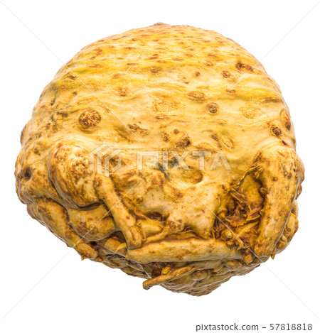 Celery root close-up 3d rendering 57818818