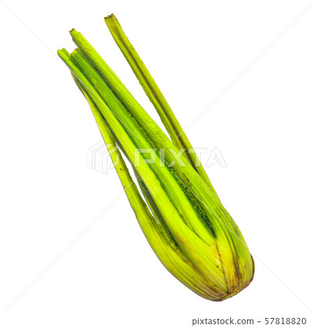 Celery close-up 3d rendering Celery close-up 3d rendering 57818820