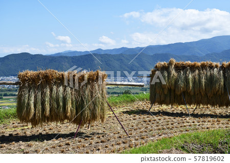 新野井線鐵道旅行 57819602