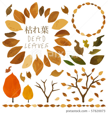 枯葉材料 枯葉材料 57820073