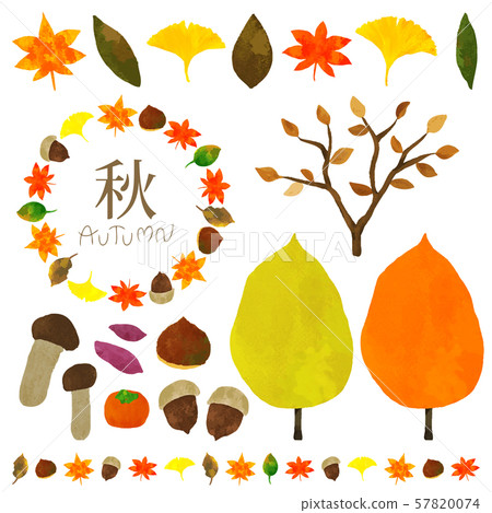 秋天的材料 秋天的材料 57820074