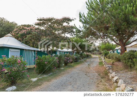 Camping houses with Albizia julibrissin trees on Camping houses with Albizia julibrissin trees on 57820277