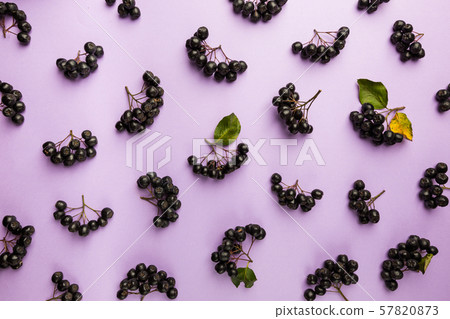 chokeberry, aronia berries. 57820873