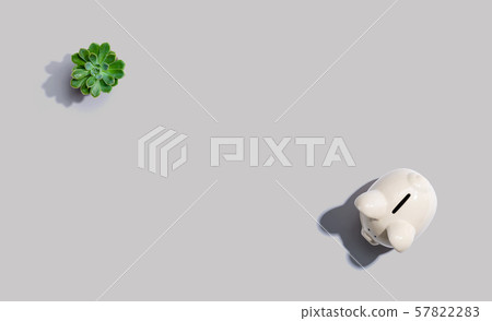 A white piggy bank overhead view A white piggy bank overhead view 57822283