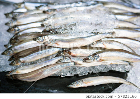 Fresh Shishamo fish fully eggs on ice , shishamo 57823166