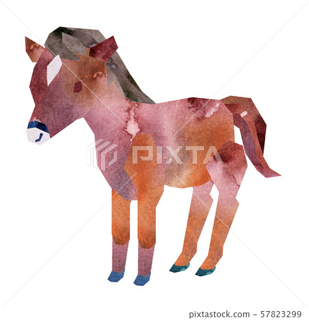 Horse 57823299