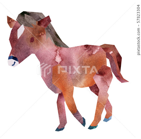 Horse walking 57823304
