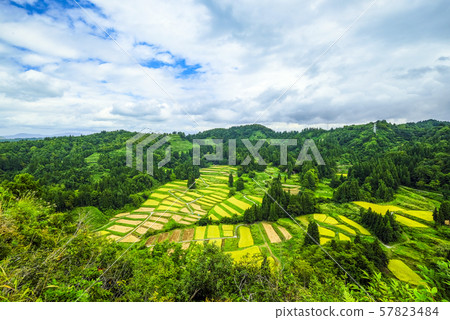 Terraced rice fields and blue sky in Gyeonggi 57823484