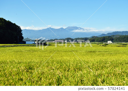 Railroad Trip Koumi Line Ryuoka Castle Railroad Trip Koumi Line Ryuoka Castle 57824141