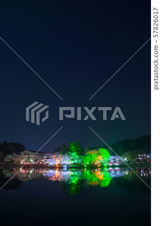 Lake Yakuru night cherry blossoms light up (Togane City, Chiba Prefecture) *Spring 2018 Lake Yakuru night cherry blossoms light up (Togane City, Chiba Prefecture) *Spring 2018 57826017