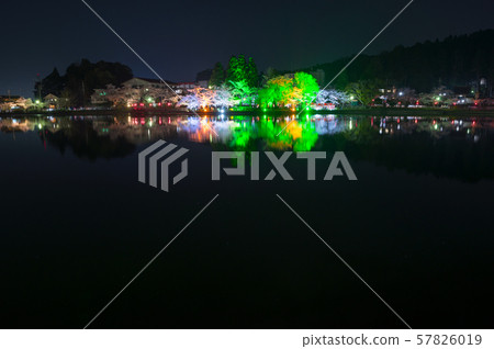 藥久湖夜櫻花盛開(千葉縣東金市)* 2018年春季 藥久湖夜櫻花盛開(千葉縣東金市)* 2018年春季 57826019