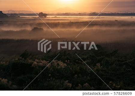 Watarase Setoji 57826609