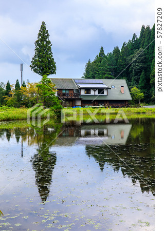 Sugawara Wetland (Tameike) [Karatsu City, Saga Prefecture] 57827209
