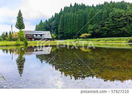 Sugawara Wetland (Tameike) [Karatsu City, Saga Prefecture] 57827210