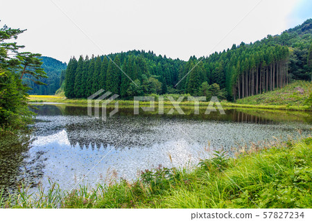 Sugawara Wetland (Tameike) [Karatsu City, Saga Prefecture] 57827234