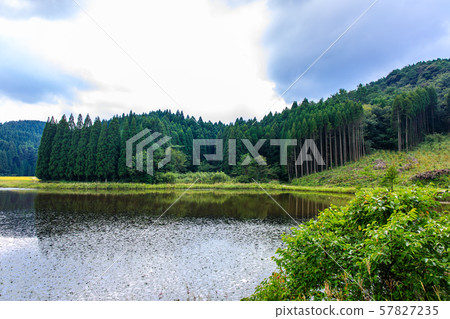 Sugawara Wetland (Tameike) [Karatsu City, Saga Prefecture] 57827235