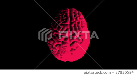 Engraving human brain illustration on dark BG - Stock Illustration ...