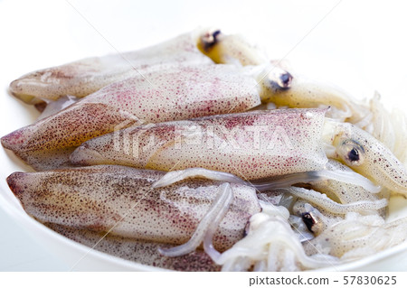 Fresh Squid in plate Fresh Squid in plate 57830625