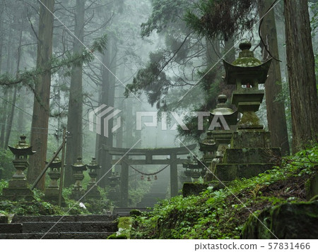 霧上有色的庫曼諾扎神社 57831466