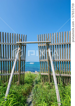 Landscape seen from the coast 57831739