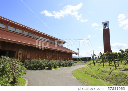 北海道葡萄園 57831963