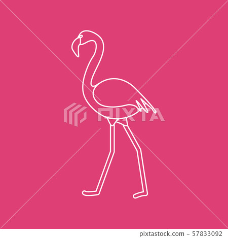 Exotic tropical bird flamingo Exotic tropical bird flamingo 57833092