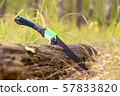 Folding portable handsaw 57833820