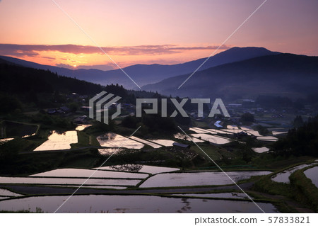 黎明時分的稻田露台 57833821