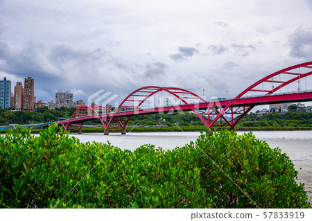 臺灣臺北關渡大橋 Asia Taiwan Taipei Guandu Bridge 57833919