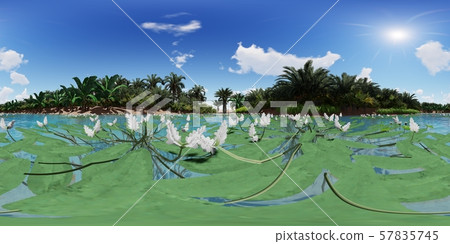 3d illustration spherical 360 degrees, seamless panorama of palm trees near oasis 3d illustration spherical 360 degrees, seamless panorama of palm trees near oasis 57835745