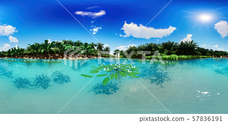 3d illustration spherical 360 degrees, seamless panorama of palm trees near oasis 57836191