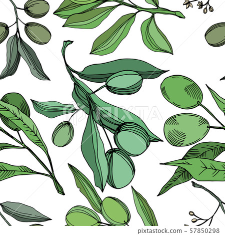 Vector Olive branch with fruit. Black and white engraved ink art. Seamless background pattern. Vector Olive branch with fruit. Black and white engraved ink art. Seamless background pattern. 57850298