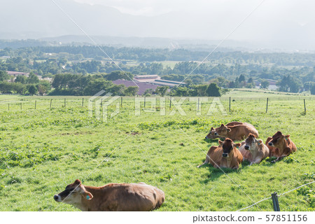 希魯岑高原 57851156