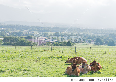 Hiruzen Plateau 57851162