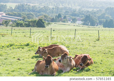 Hiruzen Plateau 57851165