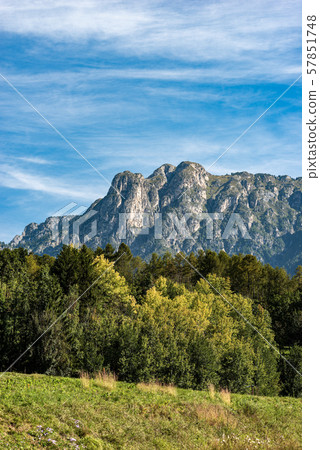 Mount Cornon - Dolomites in Italian Alps - Trentino Alto Adige Mount Cornon - Dolomites in Italian Alps - Trentino Alto Adige 57851748
