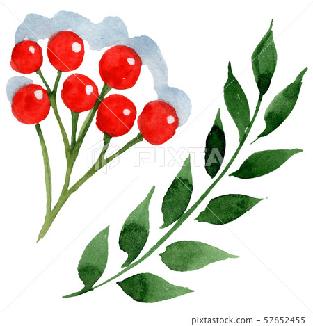 Winter ornament elements. Watercolor background illustration set. Isolated ornament illustration Winter ornament elements. Watercolor background illustration set. Isolated ornament illustration 57852455