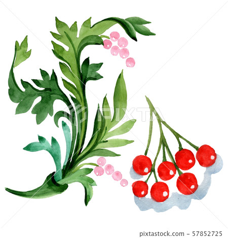 Winter ornament elements. Watercolor background illustration set. Isolated ornament illustration Winter ornament elements. Watercolor background illustration set. Isolated ornament illustration 57852725