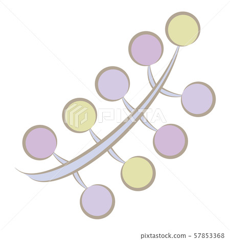 Nuts (winter color) 57853368