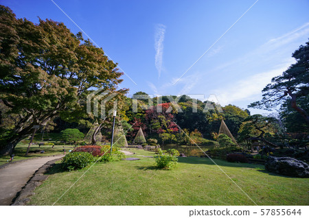 肥後細川花園秋葉 57855644