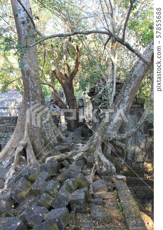 Benmeria, Angkor ruins 57855688