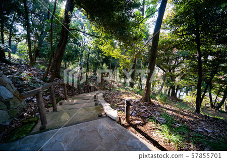 肥後細川花園秋葉 57855701